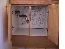 mold cabinet