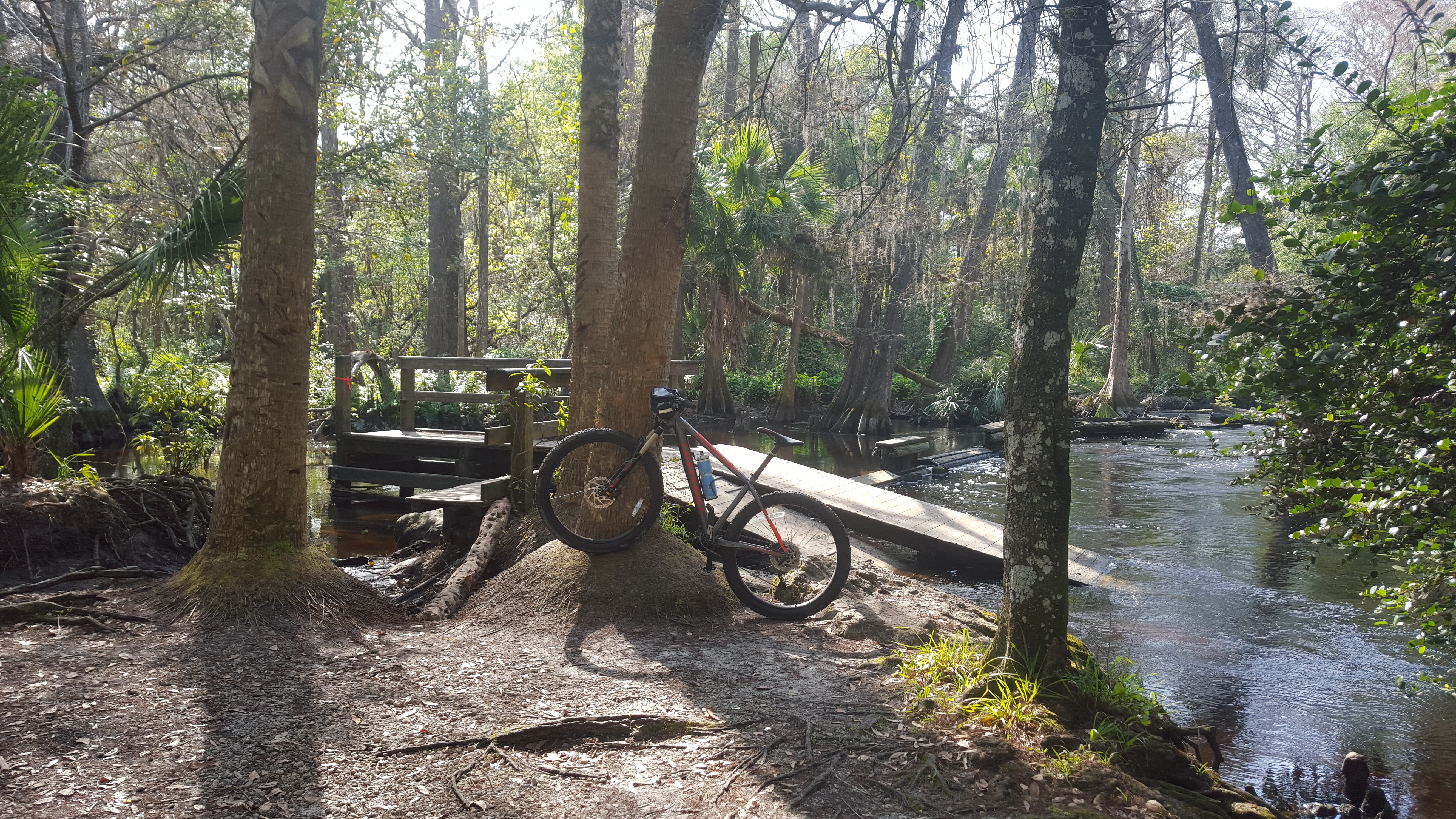 Dyer park best sale mountain bike trail